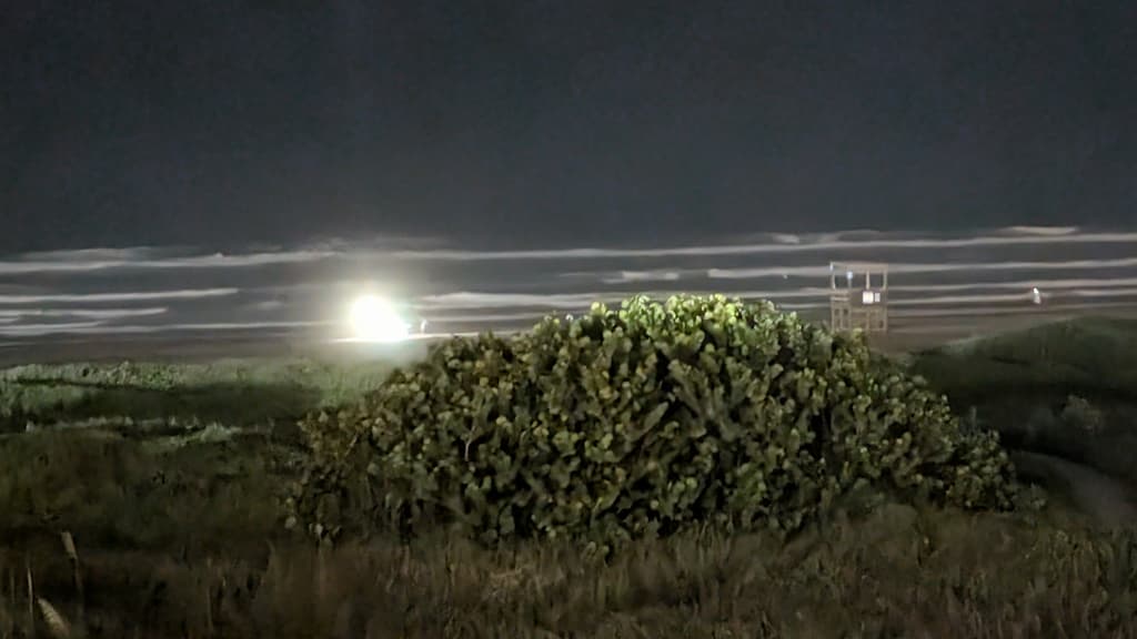 Chasing ghost crabs on the beach at night, South Padre Island